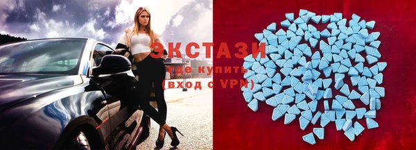 гидра Рославль