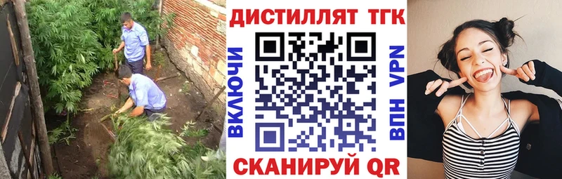 где купить наркотик  Озёры  Дистиллят ТГК THC oil 
