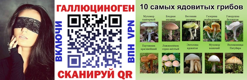 купить наркотики цена  Озёры  Псилоцибиновые грибы Psilocybe 